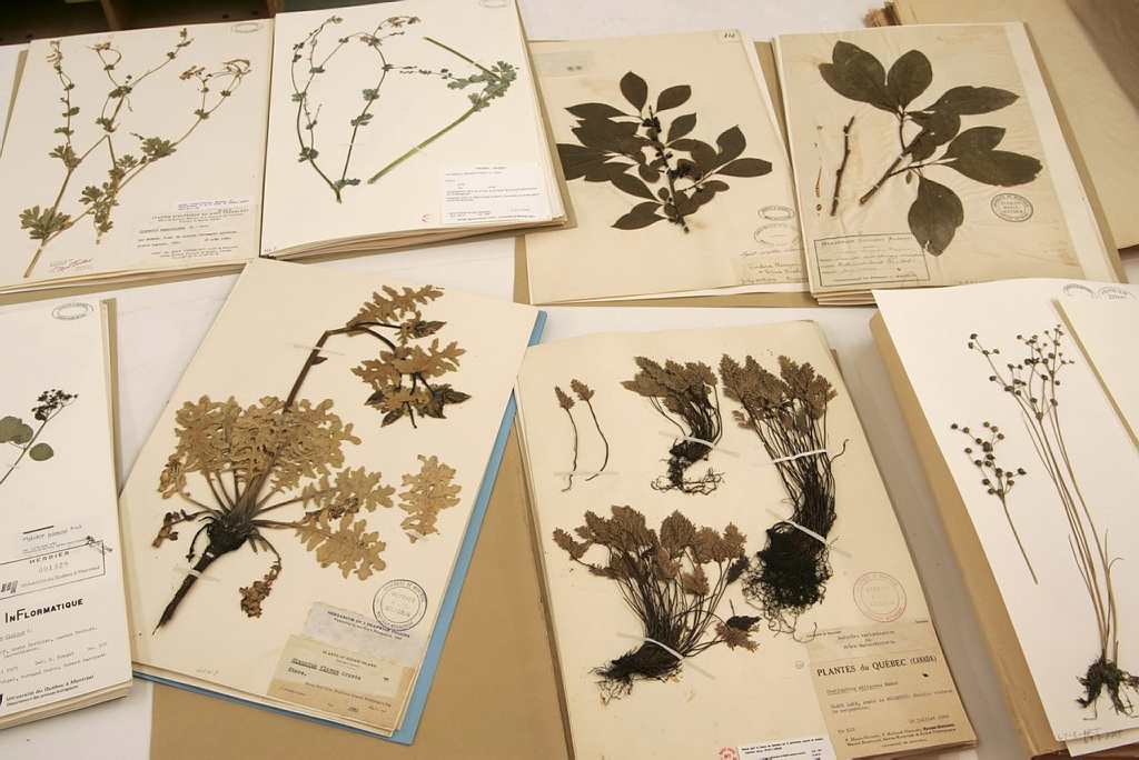 site de rencontre ecolo bio