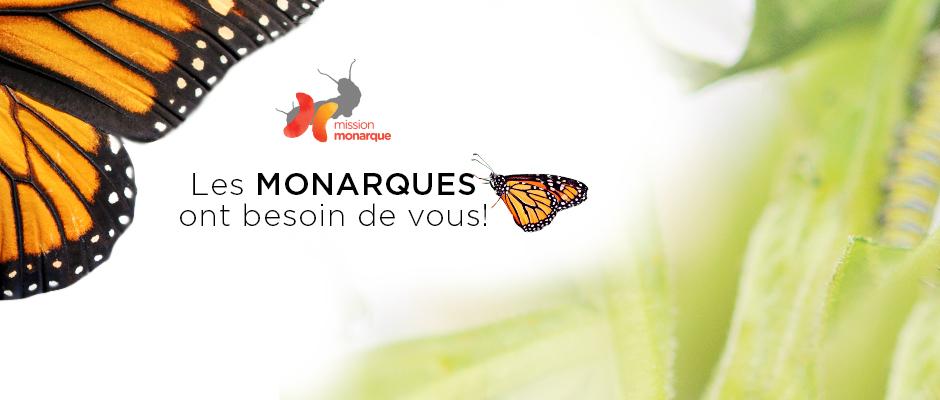 Mission monarque - bandeau