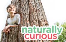 Naturally Curious