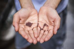 Precious Seeds