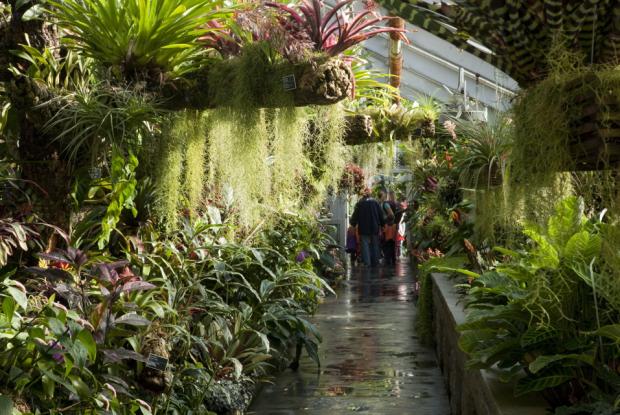 tropical rainforest space for life