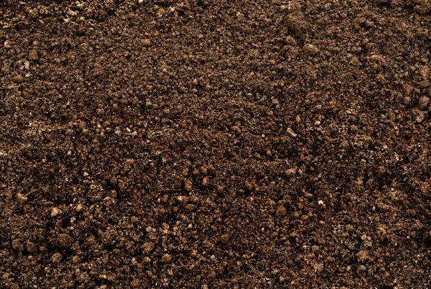 character description muck template soil structure space for life character description muck template soil structure space for life