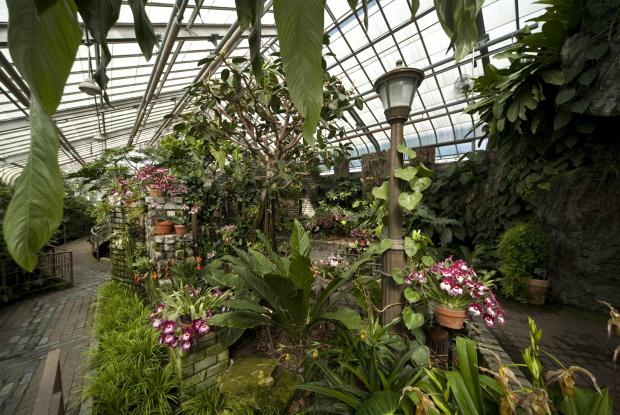 Bien Plantes Et Jardins Com Serres #3: Serre-orchidees-aracees-mt0039963.jpg?itok=XSZxQGoE Bien Plantes Et Jardins Com Serres #3: Serre-orchidees-aracees-mt0039963.jpg?itok=XSZxQGoE