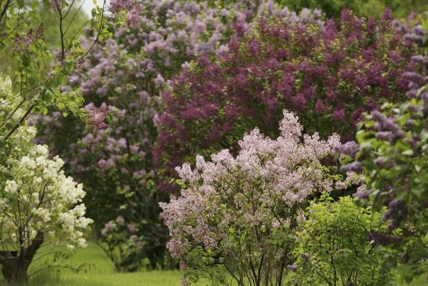 field-slideshow-image field-slideshow-image-6