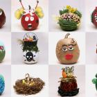 Concours Facebook 2016