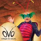 Flippo - OVO - Cirque du Soleil