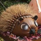 Grand Bal des citrouilles 2009