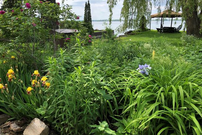Le jardin du Lac