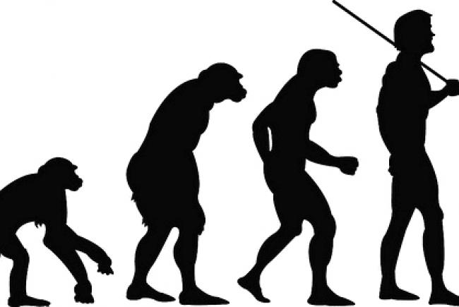 Illustration de l'évolution de l'homme
