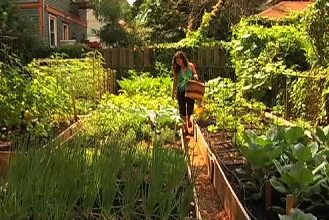 Jardin vert