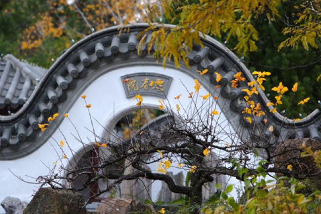 Chinese Garden - autumn © Jardin botanique de Montréal (Michel Tremblay)