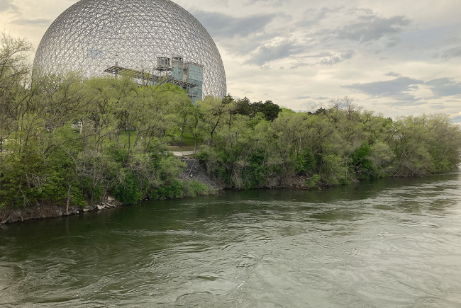 Parc Jean-Drapeau, the setting for the Biosphère, is an ideal place to observe migrating birds in the spring and in the fall, especially for early risers!