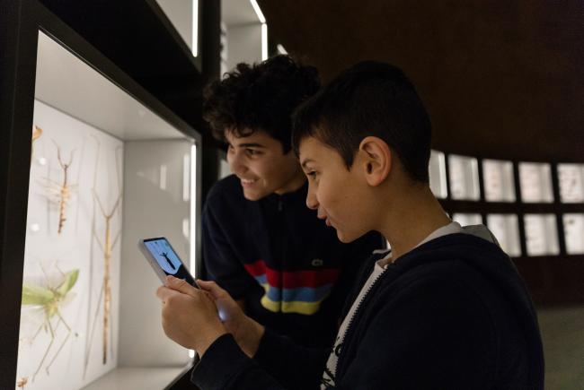 Two youth consult the Insectarium mobile app to identify the naturalized insects.