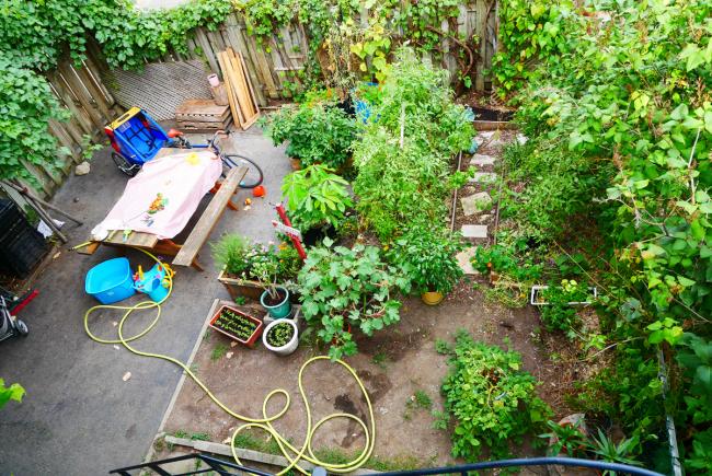 Garden overview