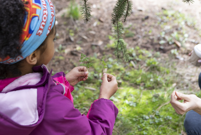 La course aux arbres, un rallye dynamique qui invite les familles à percer les mystères des arbres en aiguisant leur sens de l’observation.
