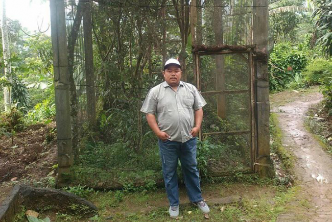 Grande enceinte en bois pour cultiver différentes espèces de plantes hôtes