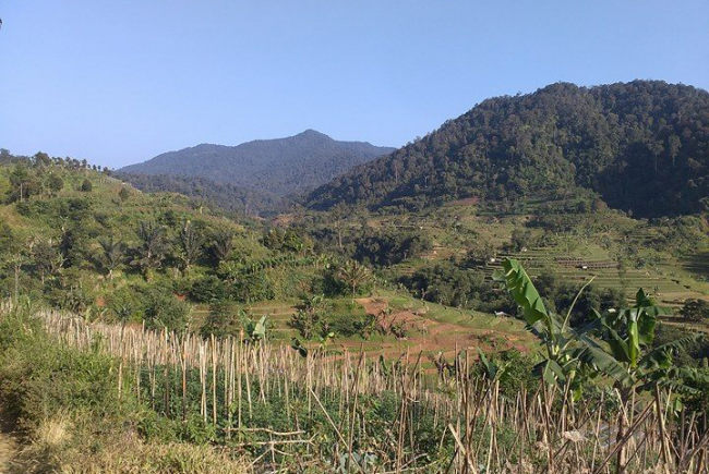 Paysage Indonésie, Java Ouest