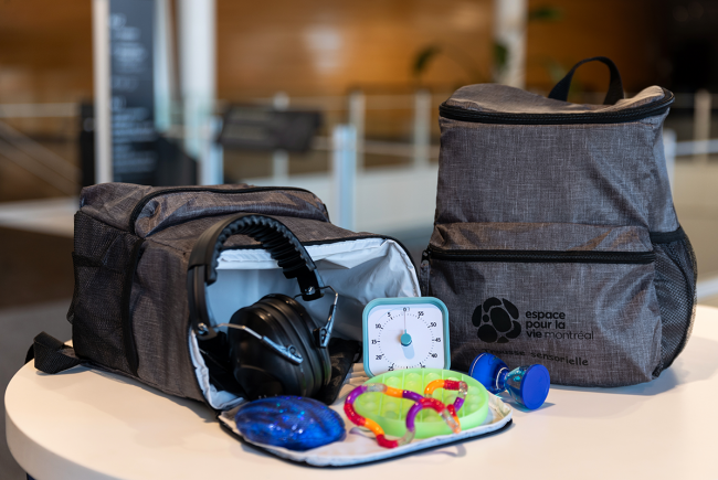 Sensory kits designed for visitors on the autism spectrum are available at all five Espace pour la vie museums.