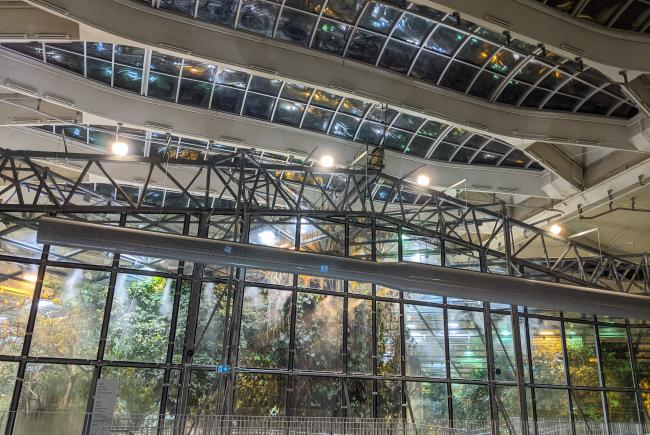 Installation dans l'écosystème de la Forêt tropicale humide, juste au-dessus de la verrière.