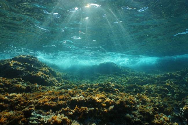 Soleil sous-marin à travers la surface de l'eau vue depuis un fond rocheux. 