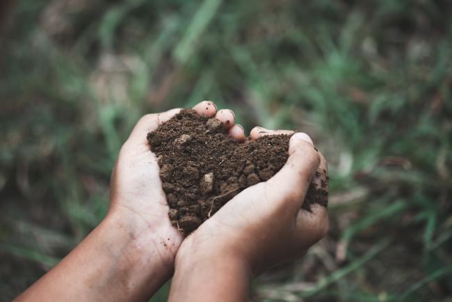 Au quotidien, la nature nous fait du bien