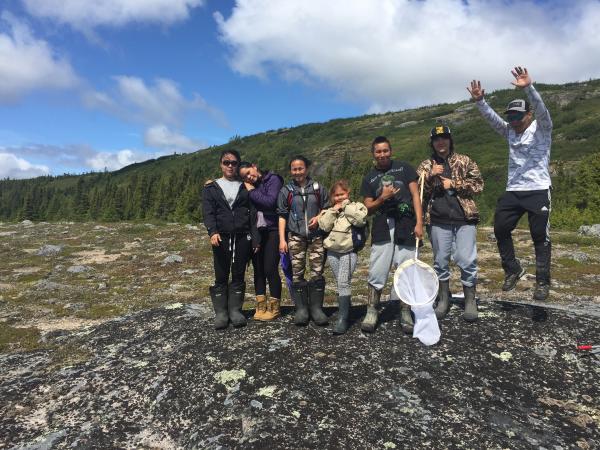 Summer 2017, young Inuit and Crees collecting butterflies and bumblebees in Tursujuq National Park.