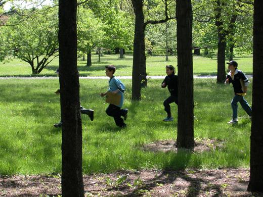 Activité éducative La Course aux arbres - Maison de l'arbre, Jardin botanique de Montréal
