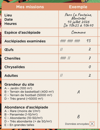 Flash ou Mission