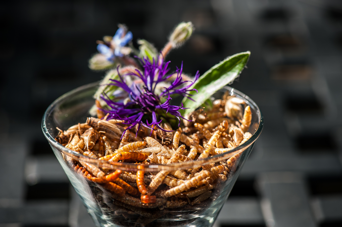 Incorporés dans un plat ou dégustés tels quels, les insectes sont pleins de nouvelles saveurs à découvrir!
