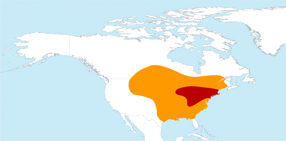 In red: the breeding area; in orange, the wintering area. 