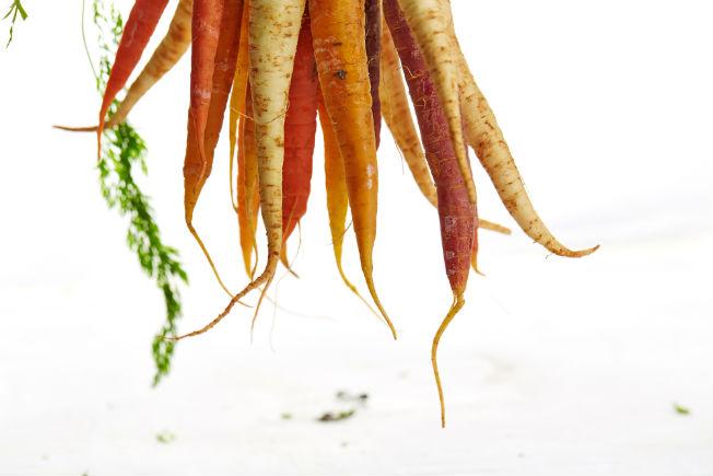 Carottes ancestrales