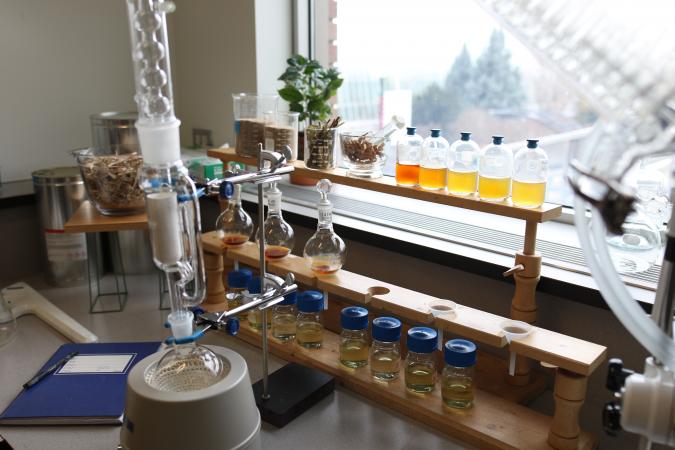 Les extraits de plantes sont préparés, analysés et testés au laboratoire pour cerner leur potentiel actif.