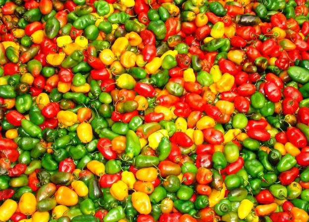 Chile peppers