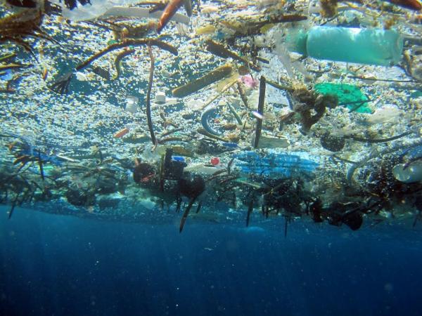 Plastic – the enemy we can’t do without?