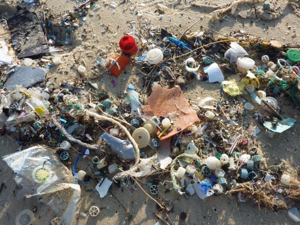 Sea coast plastic litter 