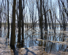 Plaines inondables, zones à risque