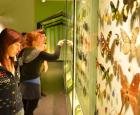 Visiteurs à l&#039;Insectarium de Montréal