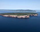 Aerial photograph of Bonaventure Island