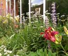 Le Jardin en Chanteur de Jean-Jacques © Espace pour la vie
