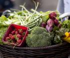 Basket of organic vegetables