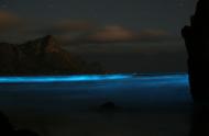blue-tide-dinoflagellates-cc-flickr-bmc-ecology-8591666741_2063781357_o.jpg