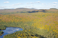 La COP15 à Montréal, une occasion unique pour préserver la biodiversité