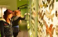 Visiteurs à l&#039;Insectarium de Montréal