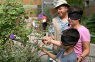 Visiteurs à la Cour des sens © Jardin botanique de Montréal (Michel Tremblay)