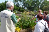 Volunteer guide at the Botanical Garden © Espace pour la vie (Karine Vendette)