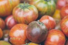 Tomates, variétés ancestrales