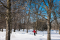 The Jardin botanique includes approximately 3km of groomed cross-country ski trails.