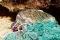 Tortue marine empêtrée dans un filet fantôme, © Lovecz, NOAA