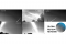 Images of the fireball captured by the Global Meteor Network cameras. The end of the luminous path was particularly well observed by camera CA0031