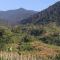 Une première ferme d’élevage d’insectes feuilles en Indonésie